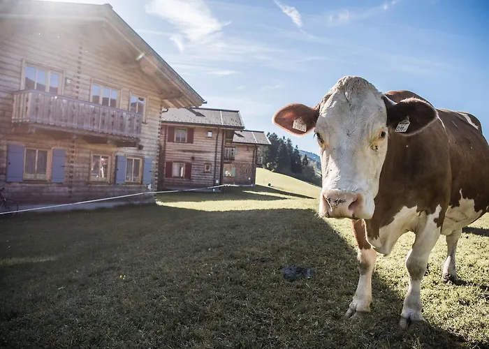 Prázdninový areál Oberreit 4*